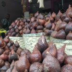 Pulang Kampung ke Padangsidimpuan, Jangan Lupa Bawa Oleh-Oleh Salak