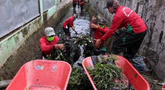 Warga Medan: Terima Kasih Pak Walikota atas Pengorekan dan Normalisasi parit