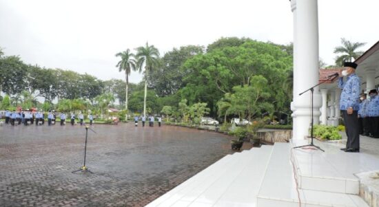 IMG-20210503-WA0141