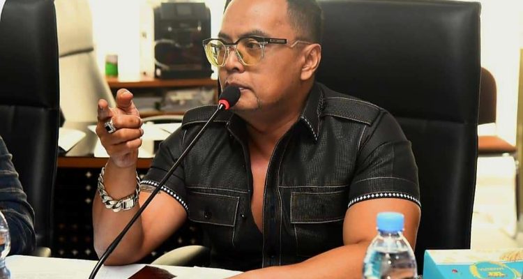 Renville Pandapotan Napitupulu